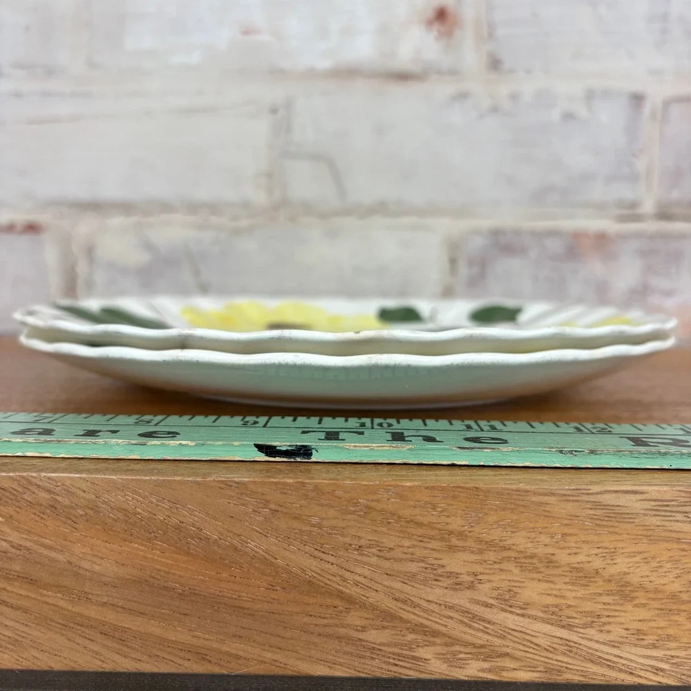 Set of 2 Vintage Blue Ridge Southern Potteries Hand Painted Yellow Floral Plates